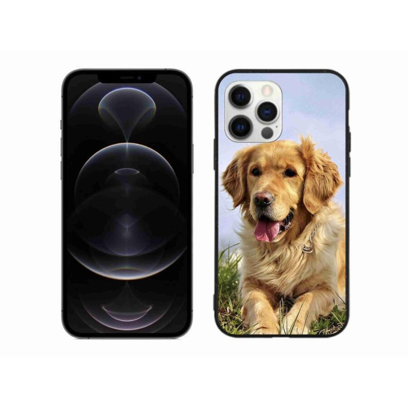 Gélový obal mmCase na mobil iPhone 12 Pro Max - zlatý retriever