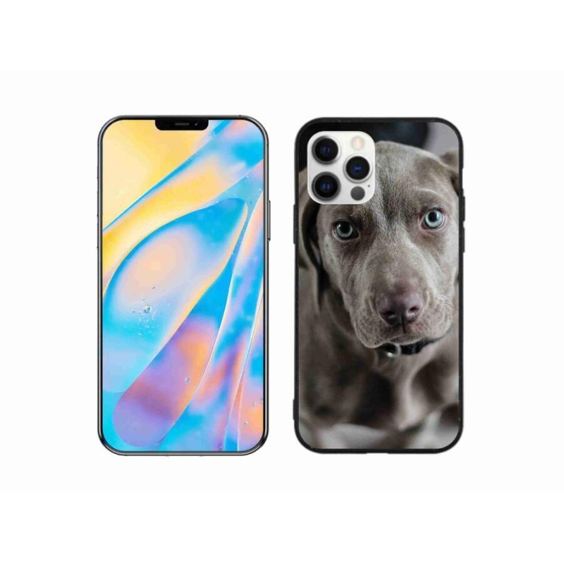 Gélový obal mmCase na mobil iPhone 12 Pro - weimarský stavač