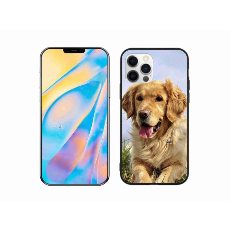 Gélový obal mmCase na mobil iPhone 12 Pro - zlatý retriever