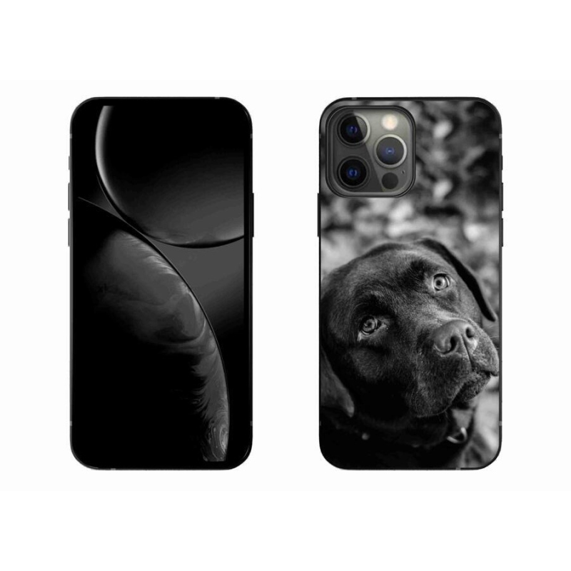 Gélový obal mmCase na mobil iPhone 13 Pro Max 6.7 - labrador