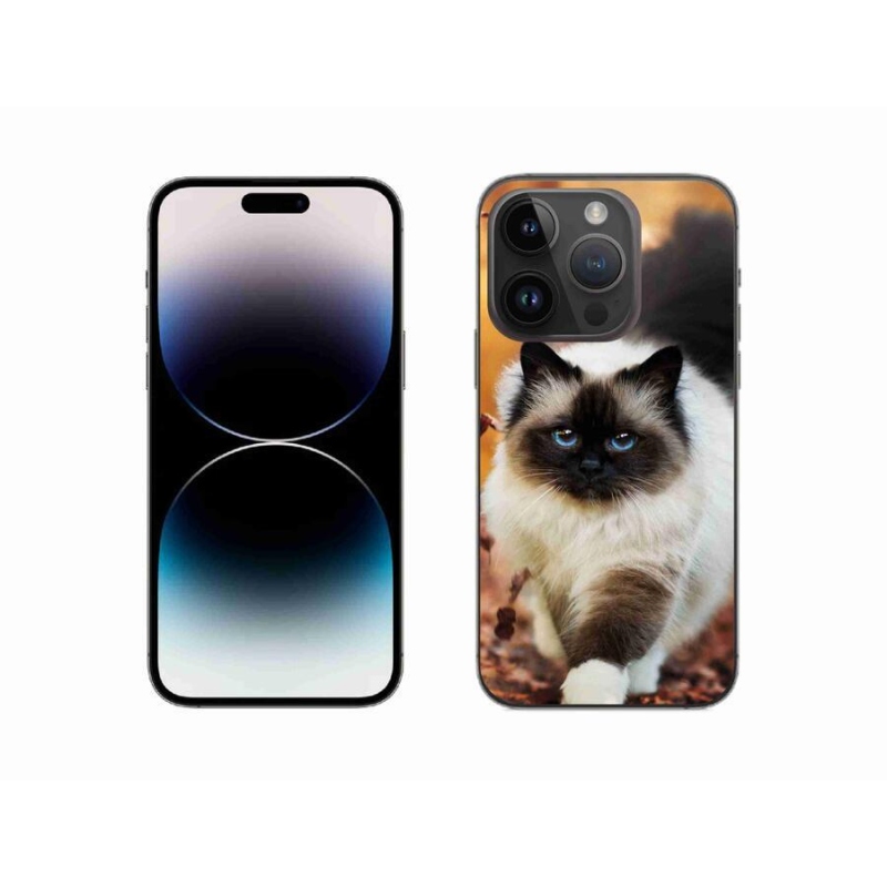 Gélový obal mmCase na mobil iPhone 14 Pro 6.1 - mačka