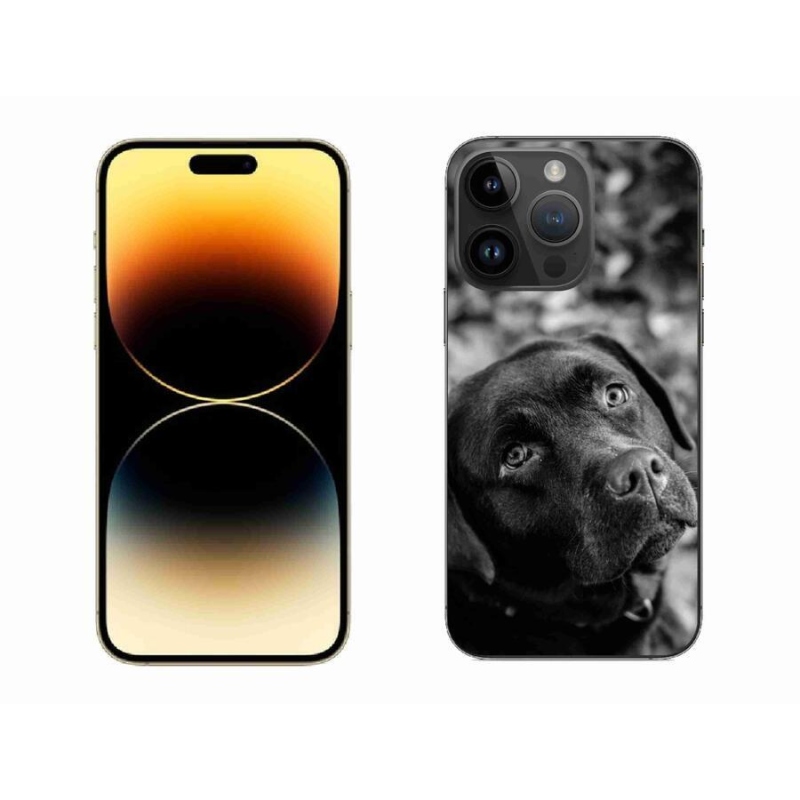 Gélový obal mmCase na mobil iPhone 14 Pro Max 6.7 - labrador