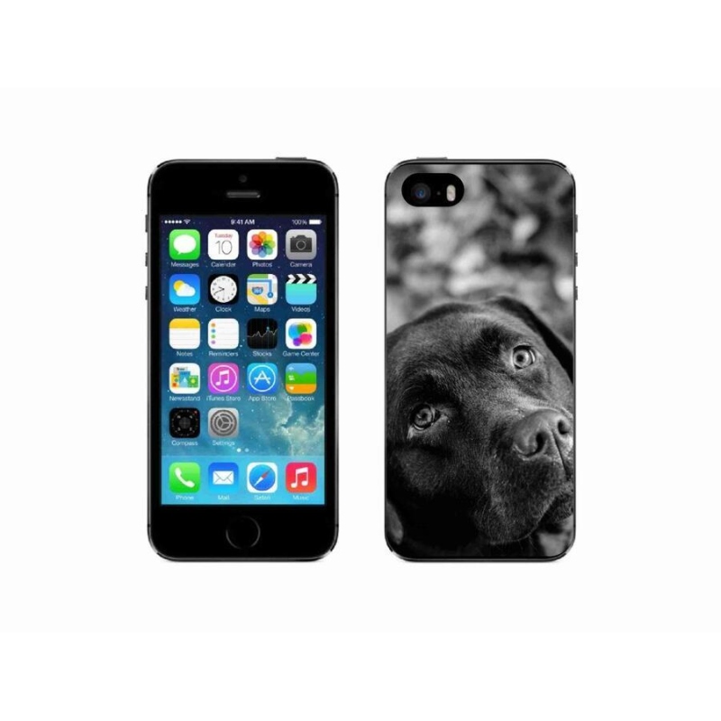 Gélový obal mmCase na mobil iPhone 5 / 5s - labrador