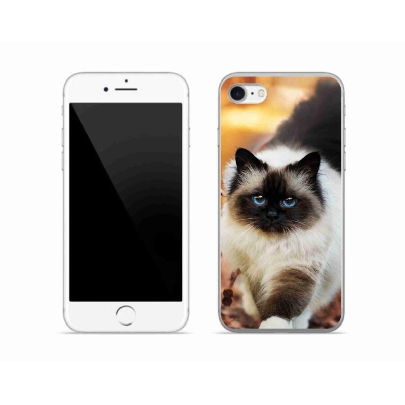 Gélový obal mmCase na mobil iPhone SE (2020) - mačka 1