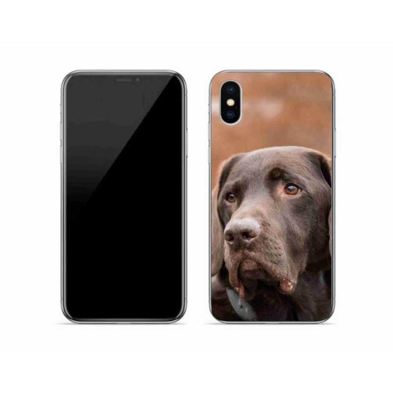 Gélový obal mmCase na mobil iPhone X - hnedý labrador