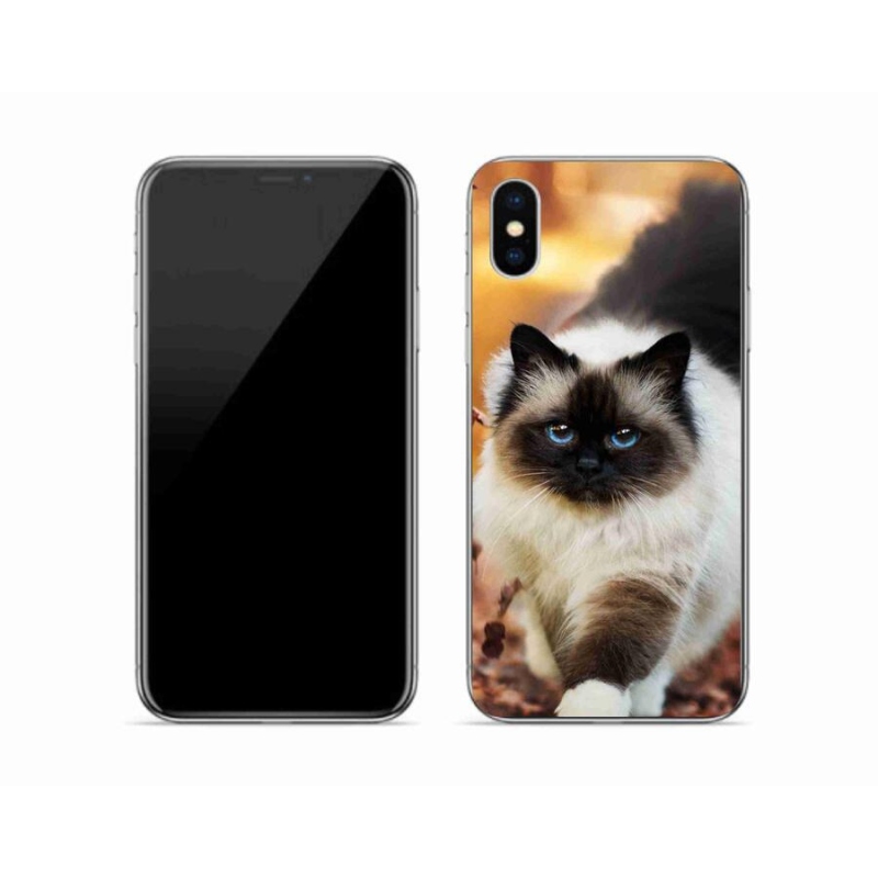 Gélový obal mmCase na mobil iPhone X - mačka 1