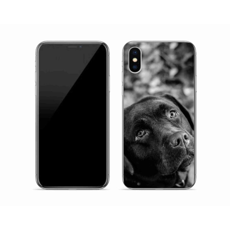 Gélový obal mmCase na mobil iPhone X - labrador