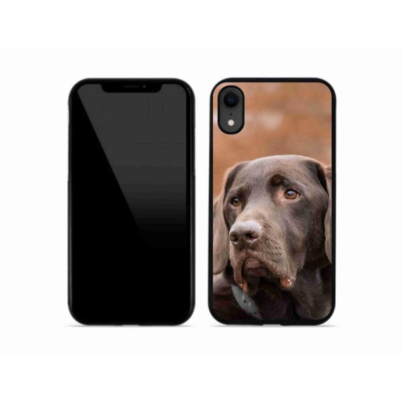 Gélový obal mmCase na mobil iPhone XR - hnedý labrador