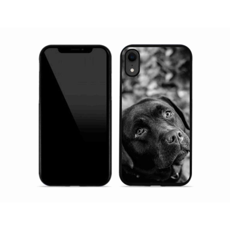 Gélový obal mmCase na mobil iPhone XR - labrador