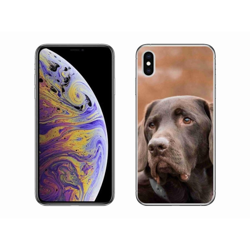 Gélový obal mmCase na mobil iPhone XS Max - hnedý labrador