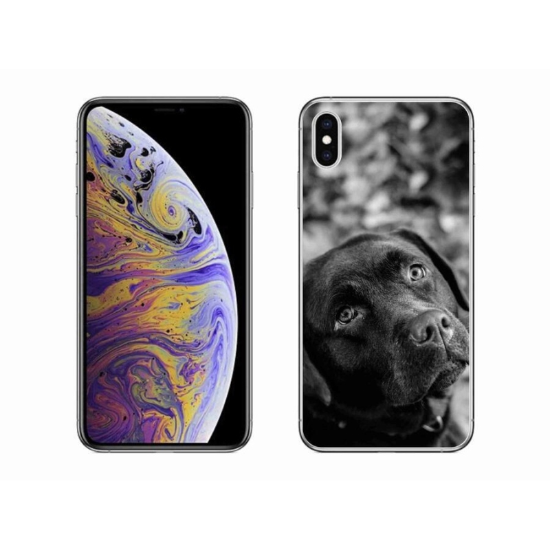 Gélový obal mmCase na mobil iPhone XS Max - labrador