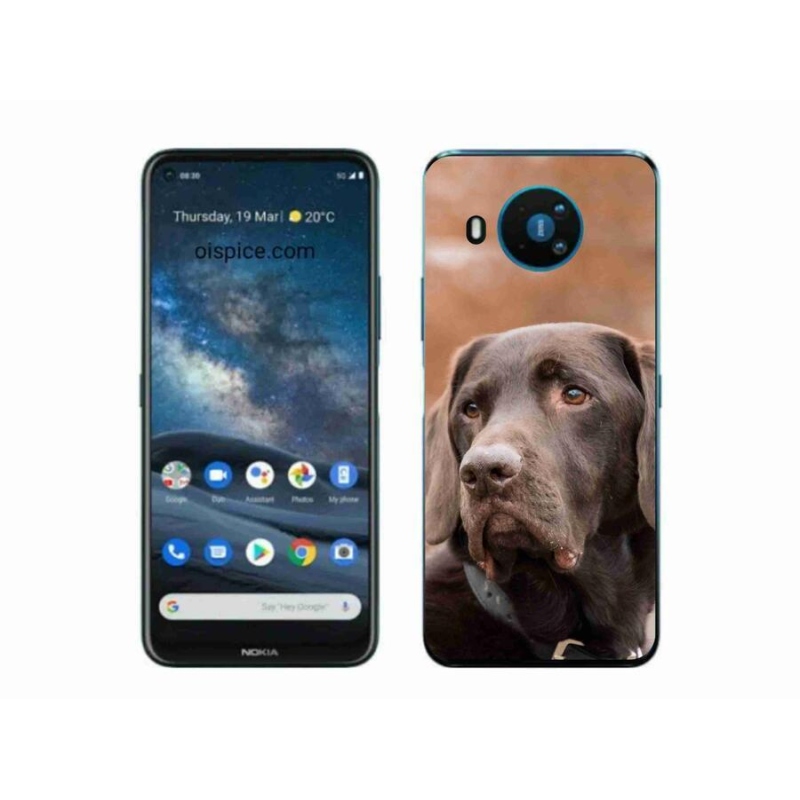 Gélový obal mmCase na mobil Nokia 8.3 5G - hnedý labrador