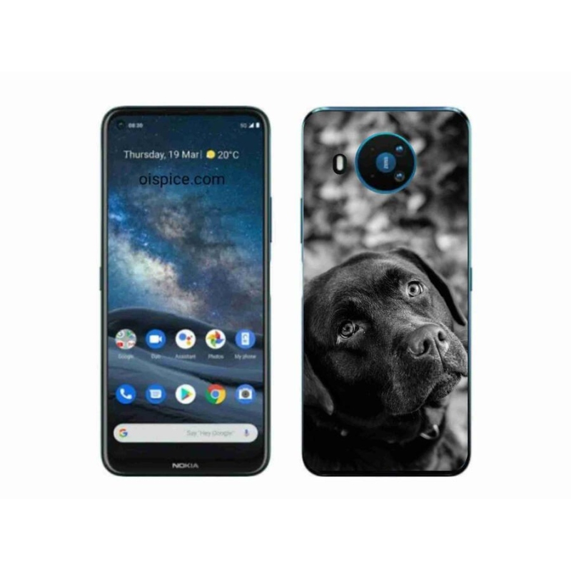 Gélový obal mmCase na mobil Nokia 8.3 5G - labrador