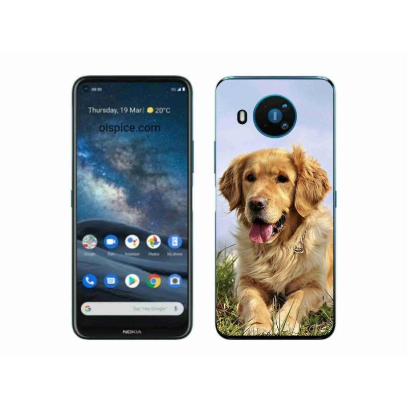 Gélový obal mmCase na mobil Nokia 8.3 5G - zlatý retriever