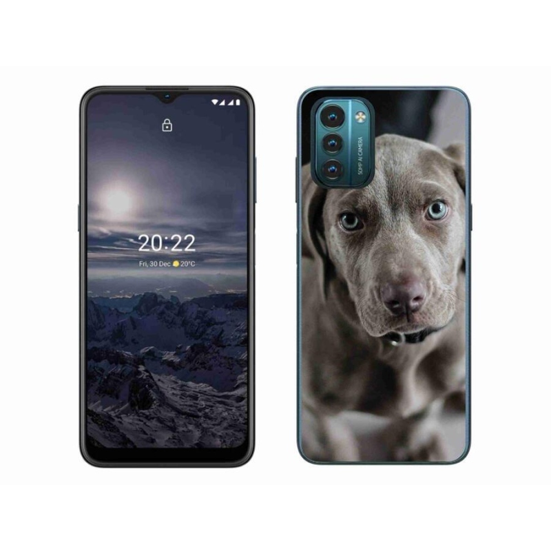 Gélový obal mmCase na mobil Nokia G11/G21 - weimarský stavač