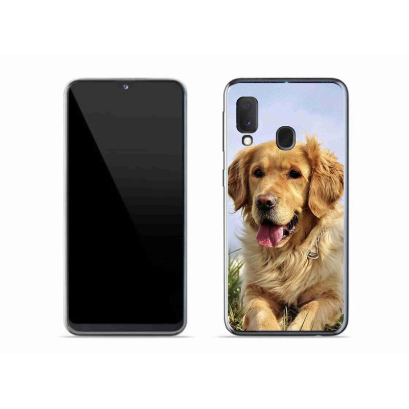 Gélový obal mmCase na mobil Samsung Galaxy A20e - zlatý retriever