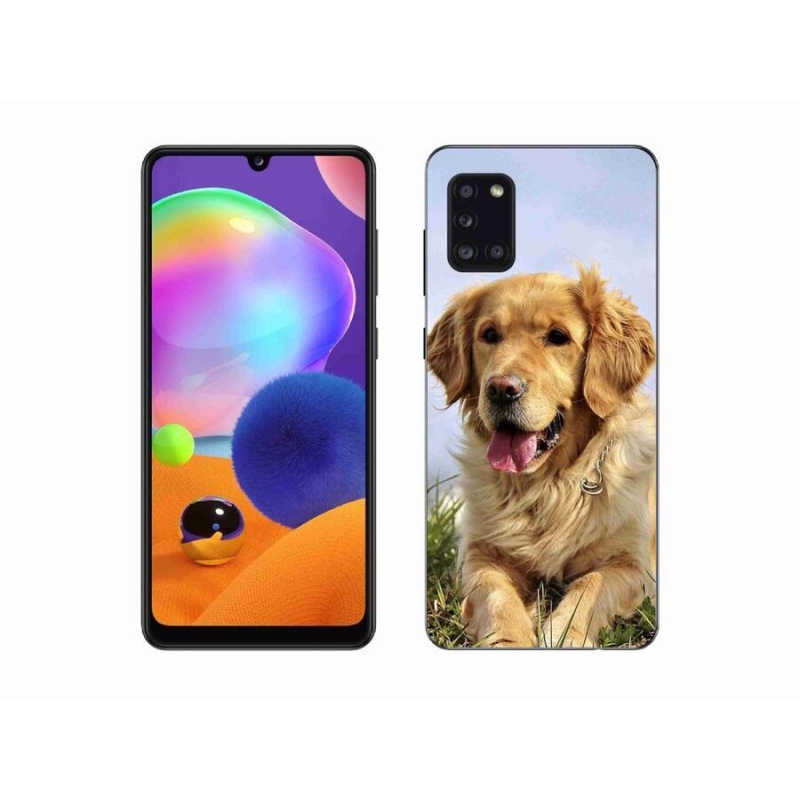 Gélový obal mmCase na mobil Samsung Galaxy A31 - zlatý retriever