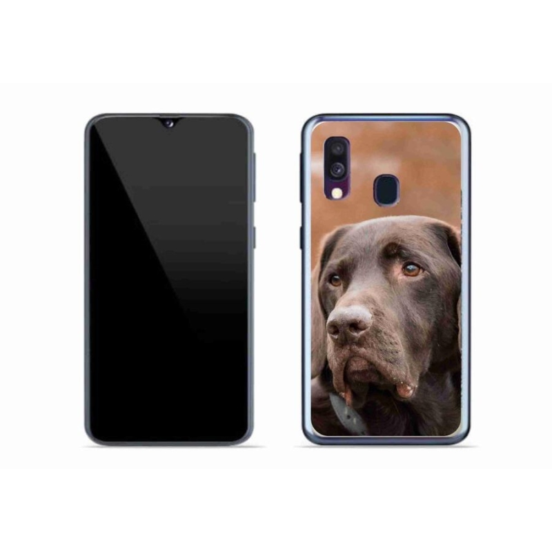 Gélový obal mmCase na mobil Samsung Galaxy A40 - hnedý labrador