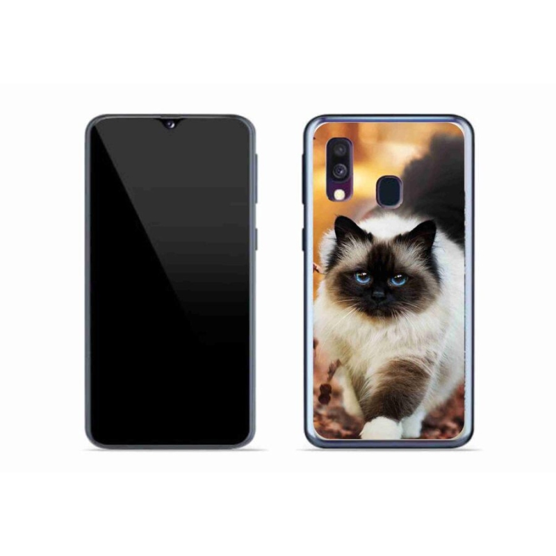 Gélový obal mmCase na mobil Samsung Galaxy A40 - mačka 1