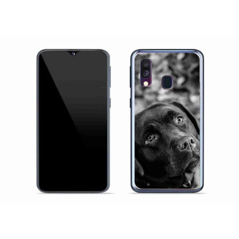 Gélový obal mmCase na mobil Samsung Galaxy A40 - labrador