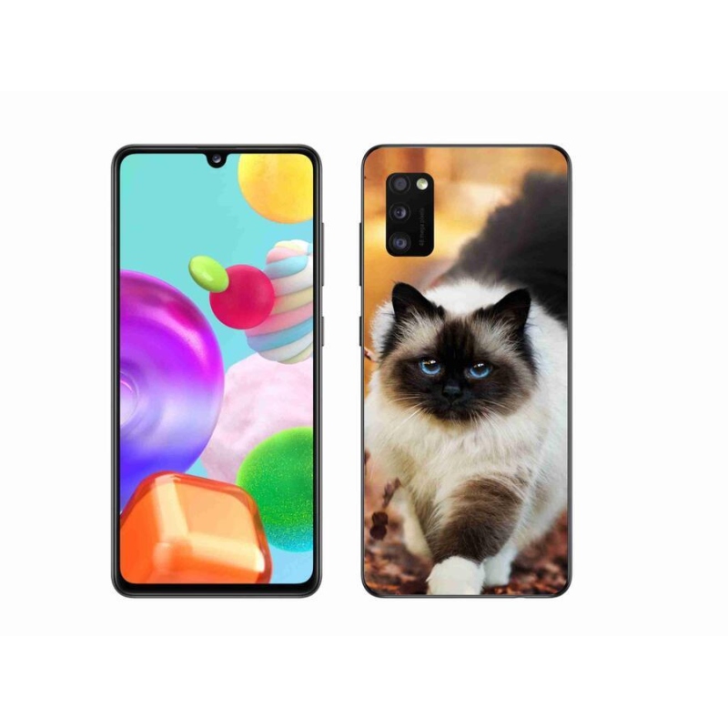 Gélový obal mmCase na mobil Samsung Galaxy A41 - mačka 1