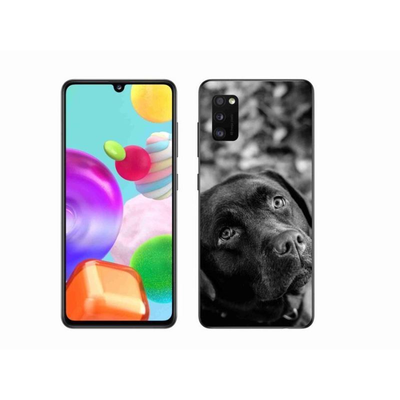 Gélový obal mmCase na mobil Samsung Galaxy A41 - labrador