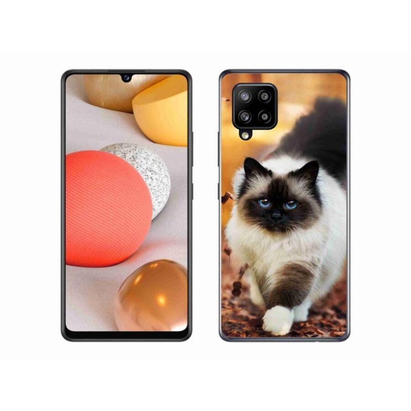 Gélový obal mmCase na mobil Samsung Galaxy A42 5G - mačka 1