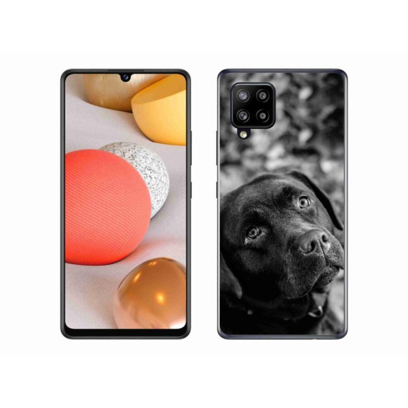 Gélový obal mmCase na mobil Samsung Galaxy A42 5G - labrador