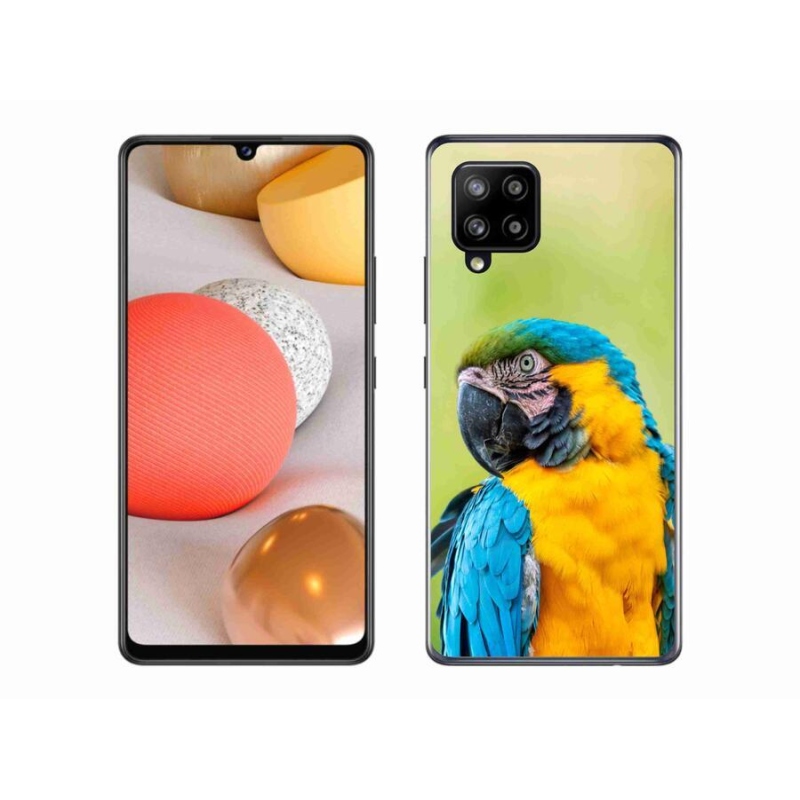 Gélový obal mmCase na mobil Samsung Galaxy A42 5G - papagáj ara 2