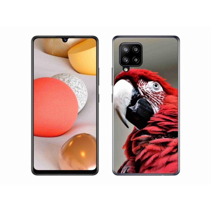 Gélový obal mmCase na mobil Samsung Galaxy A42 5G - papagáj ara červený