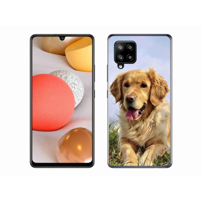 Gélový obal mmCase na mobil Samsung Galaxy A42 5G - zlatý retriever