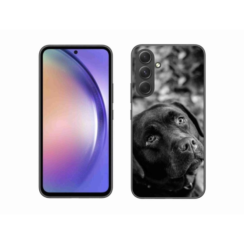 Gélový obal mmCase na mobil Samsung Galaxy A54 5G - labrador