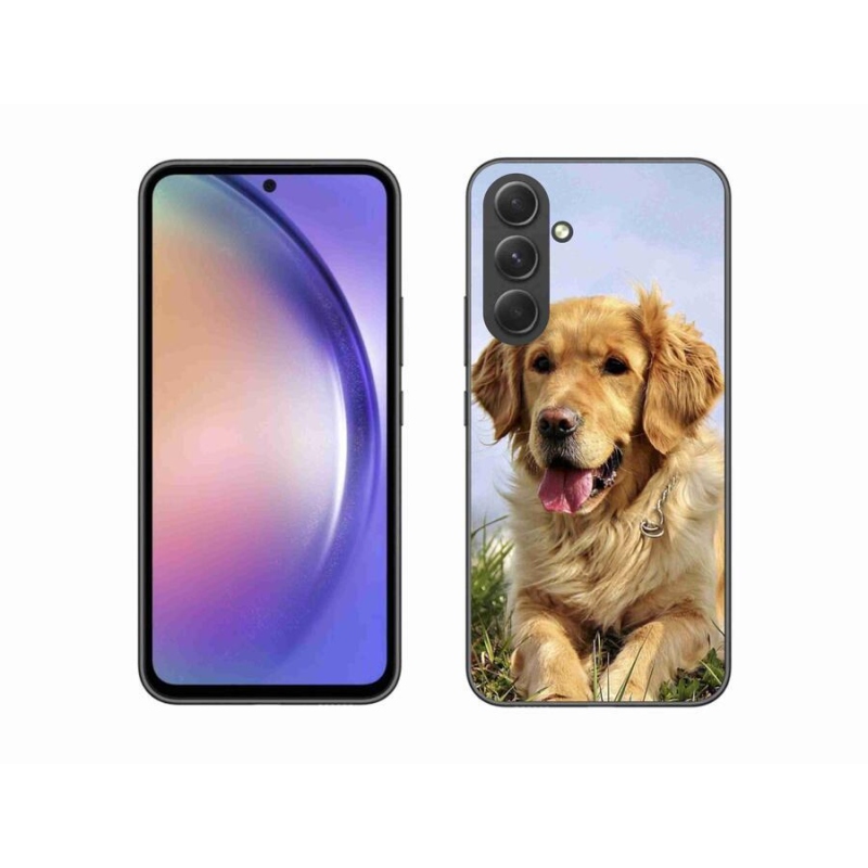 Gélový obal mmCase na mobil Samsung Galaxy A54 5G - zlatý retriever