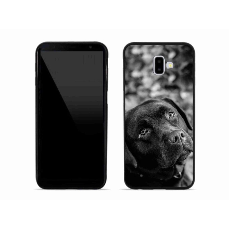 Gélový obal mmCase na mobil Samsung Galaxy J6 Plus - labrador