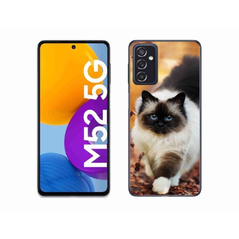 Gélový obal mmCase na mobil Samsung Galaxy M52 5G - mačka 1