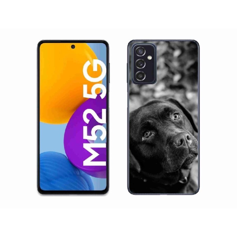 Gélový obal mmCase na mobil Samsung Galaxy M52 5G - labrador