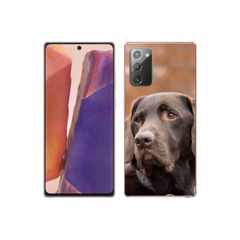 Gélový obal mmCase na mobil Samsung Galaxy Note 20/Note 20 5G - hnedý labrador