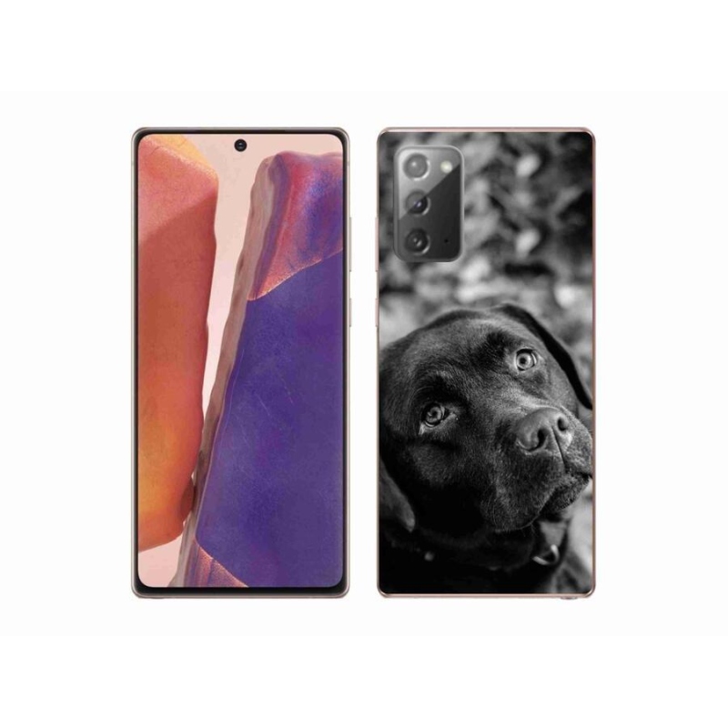 Gélový obal mmCase na mobil Samsung Galaxy Note 20/Note 20 5G - labrador