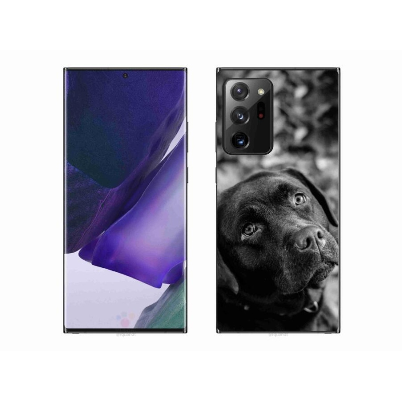 Gélový obal mmCase na mobil Samsung Galaxy Note 20 Ultra - labrador