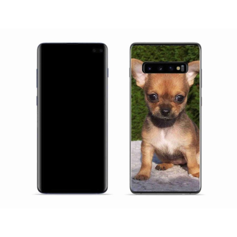 Gélový obal mmCase na mobil Samsung Galaxy S10 - čivava 3