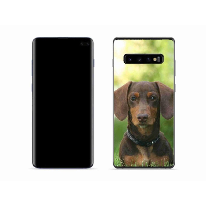 Gélový obal mmCase na mobil Samsung Galaxy S10 - hnedý jazvečík