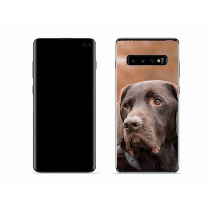 Gélový obal mmCase na mobil Samsung Galaxy S10 - hnedý labrador