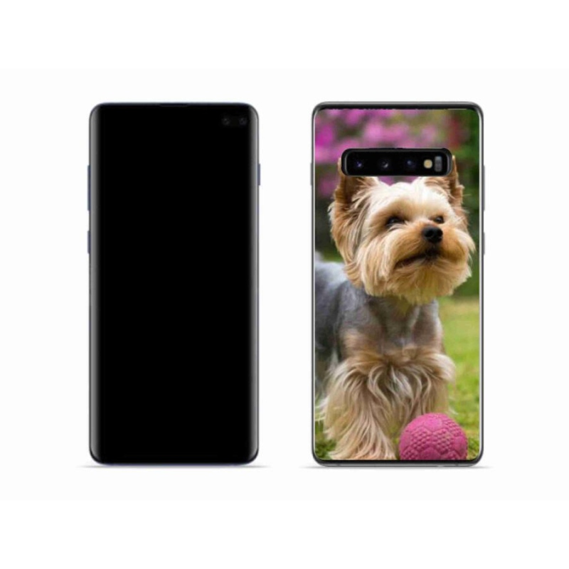 Gélový obal mmCase na mobil Samsung Galaxy S10 - jorkšír 4