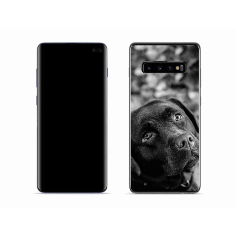 Gélový obal mmCase na mobil Samsung Galaxy S10 - labrador