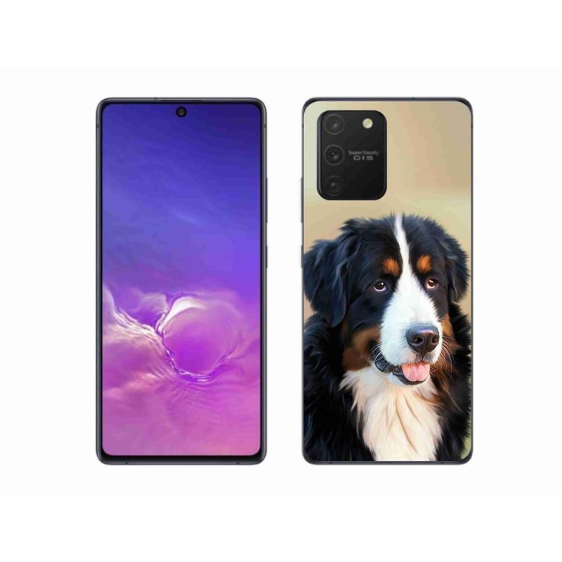 Gélový obal mmCase na mobil Samsung Galaxy S10 Lite - bernský salašnícky pes