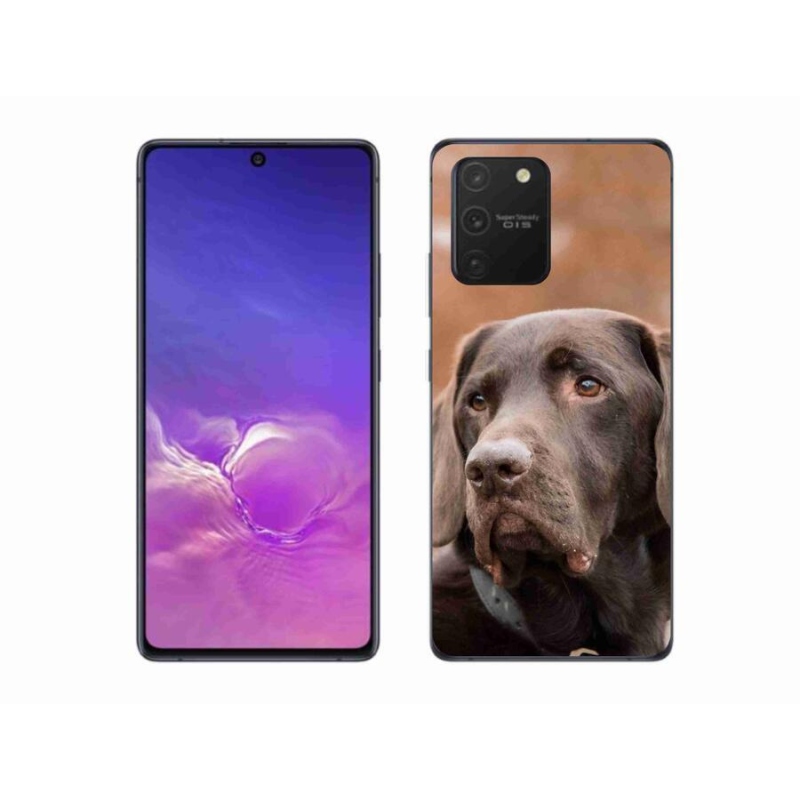 Gélový obal mmCase na mobil Samsung Galaxy S10 Lite - hnedý labrador