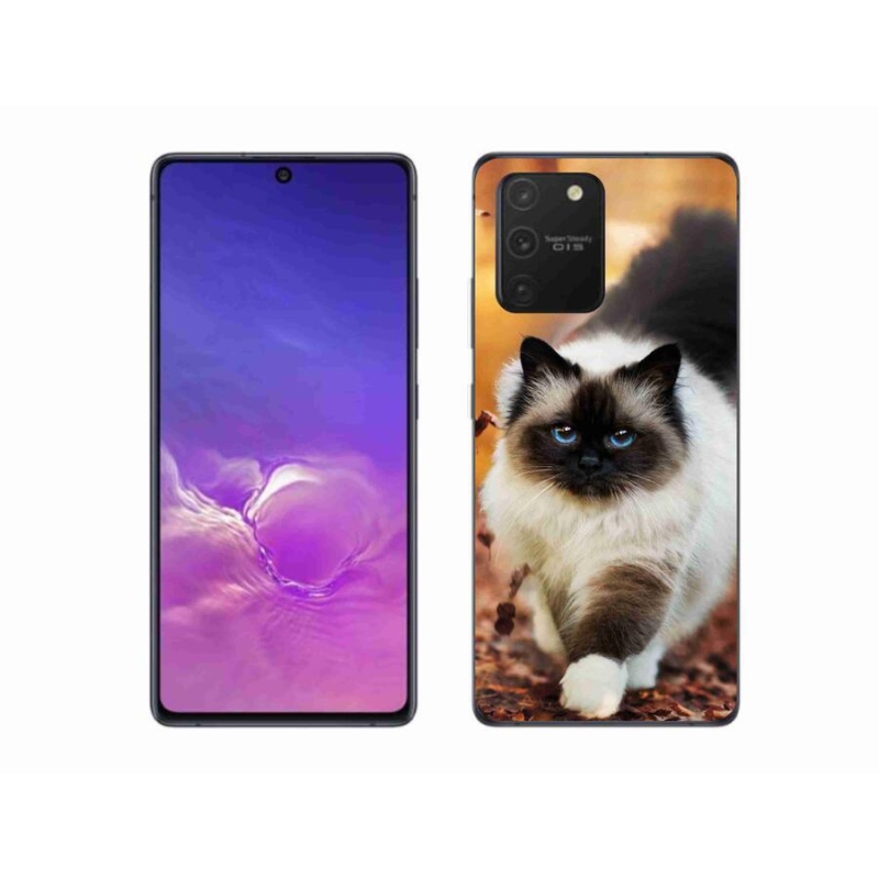 Gélový obal mmCase na mobil Samsung Galaxy S10 Lite - mačka 1