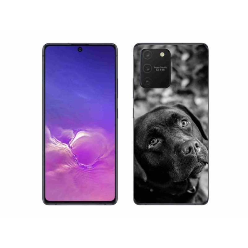 Gélový obal mmCase na mobil Samsung Galaxy S10 Lite - labrador