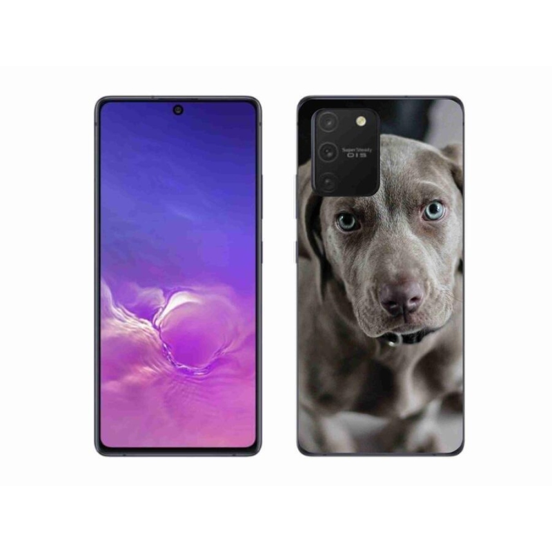 Gélový obal mmCase na mobil Samsung Galaxy S10 Lite - weimarský stavač