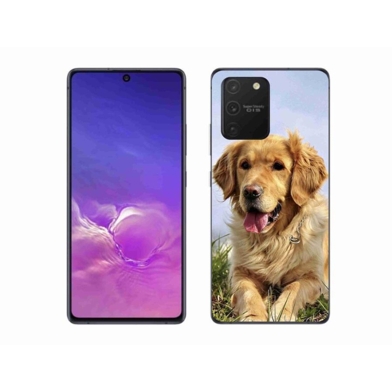 Gélový obal mmCase na mobil Samsung Galaxy S10 Lite - zlatý retriever